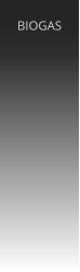 BIOGAS